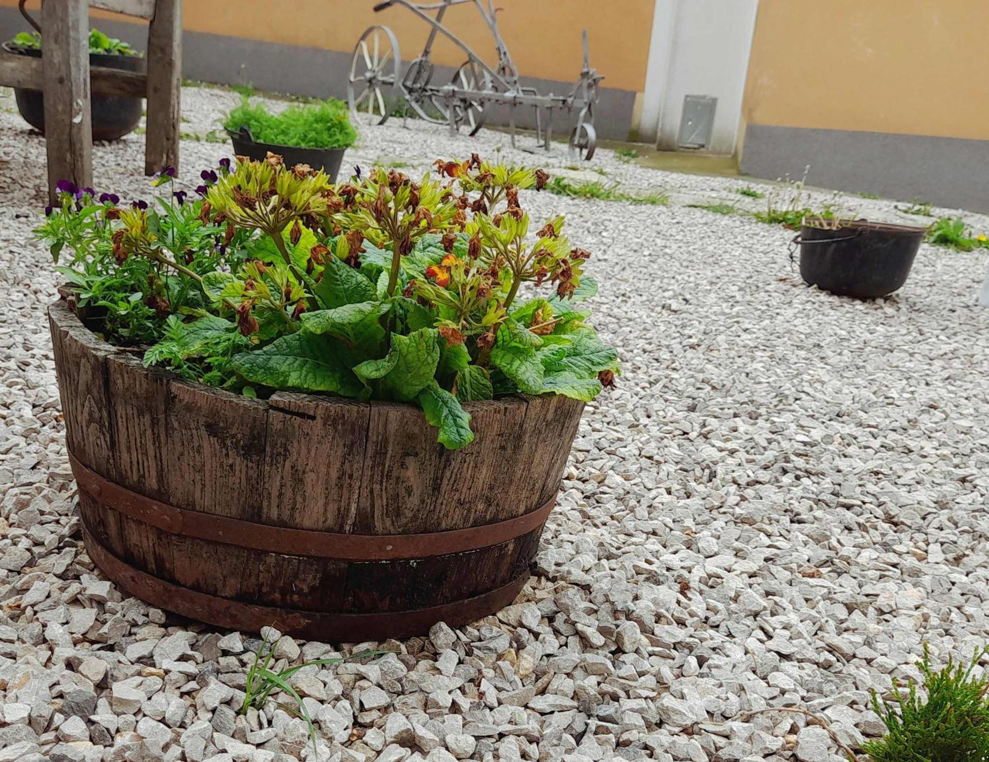 House Lana Appartement Kršan Buitenkant foto